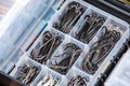 A large fisherman`s tackle box fully stocked with lures and gear for fishing.fishing lures and accessories in the box background Royalty Free Stock Photo