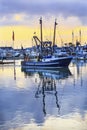 Large Fishing Boat Westport Grays Harbor Washington State