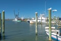 Large fishing boats at the pier in a North Carolina bay