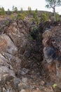 Large fissure at Sunset Crater Volcano