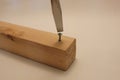 Large flat head screwdriver and in wood