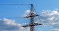 A large flock of black birds sits on electrical wires Royalty Free Stock Photo