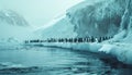 Large Flock of lovely penguins on snowy and icy coast in cold Antarctic sea waters with picturesque moody landscape background. Royalty Free Stock Photo