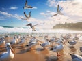 Large flock of Pelicans & sea birds on beautiful beaches of Gold Coast Australia Royalty Free Stock Photo