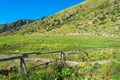 A large flock of sheep on the hillside, Kyrgyzstan. Royalty Free Stock Photo