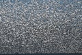 Large Flock of Snow Geese Taking To Flight Royalty Free Stock Photo