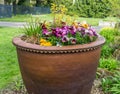 Seatac Flowers Planter