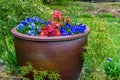 Seatac Flowers Planter 3