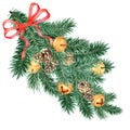 A large and fluffy branch of spruce, pine with decorations and a ribbon. Royalty Free Stock Photo