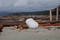 A large foam dock float has washed up on the shores of beautiful British-Columbia`s Thormany Island