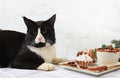 A large forest cat, Maine Coon, on the table with Eggnog with cinnamon and nutmeg, the concept of Christmas and winter holidays.