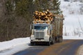 Large forest transport truck at work in Canada