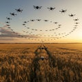 A large formation of drones flies in symmetrical patterns above a golden wheat field Royalty Free Stock Photo
