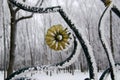 A large fragment of the park fence with hoarfrost