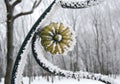 A large fragment of the park fence with hoarfrost