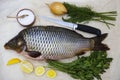 A large fresh carp live fish lying on a on paper background with a knife and slices of lemon and with salt dill
