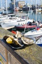 Large fresh oysters in the background of a yacht parking in the Belgian city of Ostend. Seafood. Tasty lunch while traveling.