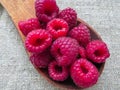 Large fresh red raspberry berries, poured into a wooden spoon Royalty Free Stock Photo