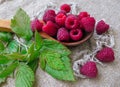 Large fresh red raspberry berries, poured into a wooden spoon Royalty Free Stock Photo