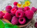 Large fresh red raspberry berries, poured into a wooden spoon Royalty Free Stock Photo