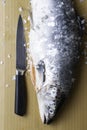 Large fresh salmon, knife and scissors. Preparation for cutting fish. Popular in diet and healthy nutrition,high protein source Royalty Free Stock Photo