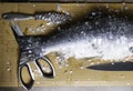 Large fresh salmon, knife and scissors. Preparation for cutting fish. Valuable commercial fish. Salmon is popular in diet and heal
