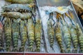 Large fresh water shrimps that are on ice. Royalty Free Stock Photo