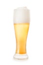 Large frosted glass of beer isolated with clipping path Royalty Free Stock Photo