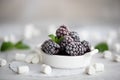 Large frozen blackberry with mint leaves