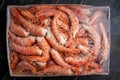 Large frozen headless langoustine prawns in a package.