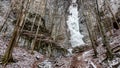Large frozen icefall in winter forest. Brankovsky waterfall, Slovakia