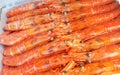 Large frozen langoustines in a package on the counter of a fish market, close-up Royalty Free Stock Photo