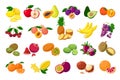 Large fruit collection detailed vector illustrations isolated on white background. Juicy pitaya, durian, carambola