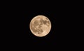 Large full moon in a black sky Royalty Free Stock Photo