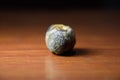 Large gallstone, Gall bladder stone. The result of gallstones