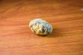 Large gallstone, Gall bladder stone. The result of gallstones