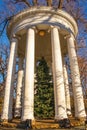 Large garden classical gazebo with Christmas tree in center and lights strung around columns against tree branches and very blue Royalty Free Stock Photo