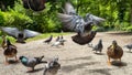 Large gathering of pigeons jostling each other.