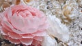 Large Giant bendable Paper Flowers. Big pink roses made from paper. DIY big paper flower made from corrugated paper and EVA Foam Royalty Free Stock Photo