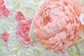 Large Giant Paper Flowers. Big pink, white, beige Rose, peony made from paper. Pastel paper background pattern lovely style. Flowe Royalty Free Stock Photo