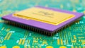 large gilded ceramic processor. intel pentium pro. gold recovery and recycling Royalty Free Stock Photo