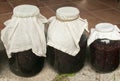 Large glass jars with sugar soaked sour cherries for alcohol fermentation Royalty Free Stock Photo