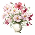 Detailed Botanical Illustration Of Cosmos Vase On White