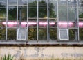 large glass window into the greenhouse of the greenhouse of the botanical garden, many green plants under the purple glow of the p