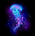 Large glowing jellyfish on black background Royalty Free Stock Photo