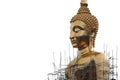 A large golden Buddha image undergoing renovations located outdoors in a Thai temple.  Isolated white background Royalty Free Stock Photo