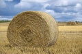 Large golden yellow hay bale field during harvest time