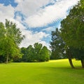 Large golf course in beautiful park