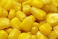 Large grain corn background