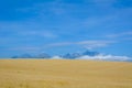 A large grain field with the High Tatras in Slovakia in the background